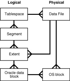 F12-1. logical and physical storage