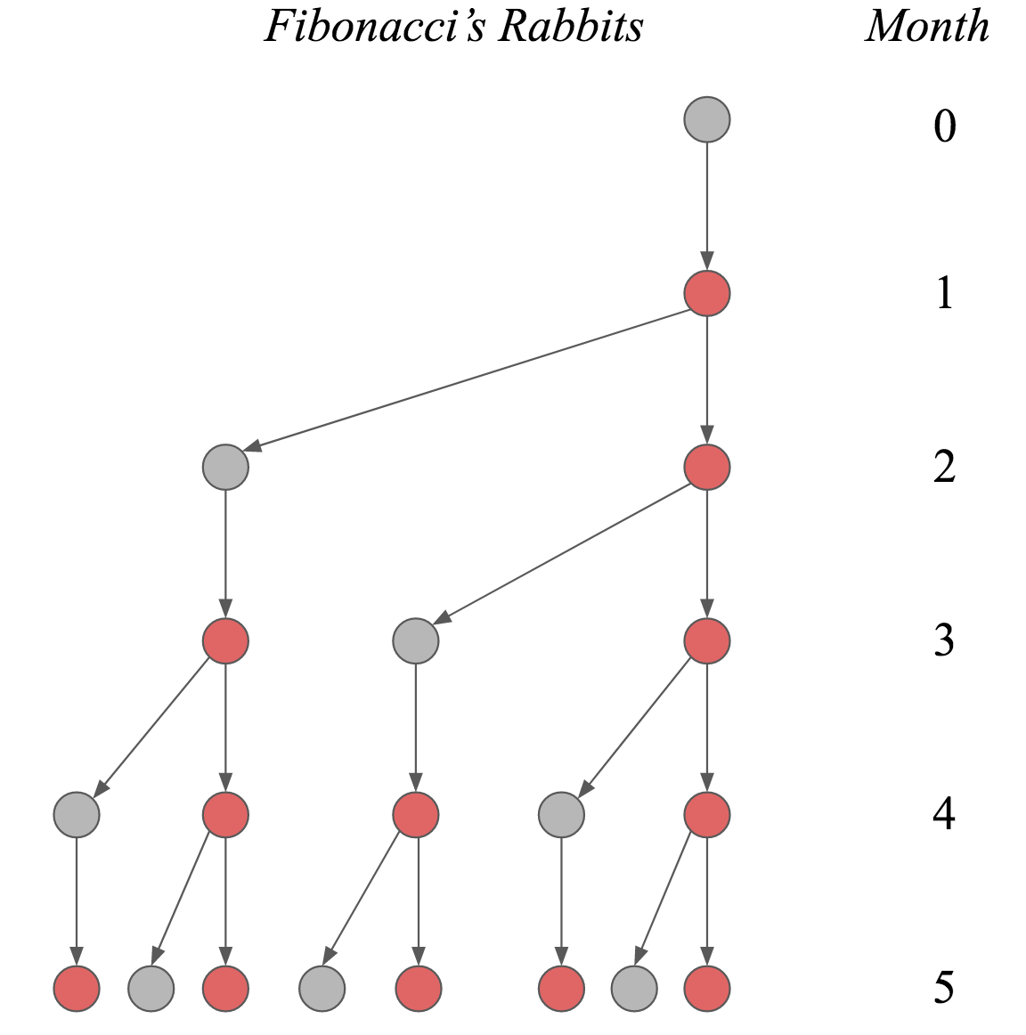 Fibonacci-Rabbits